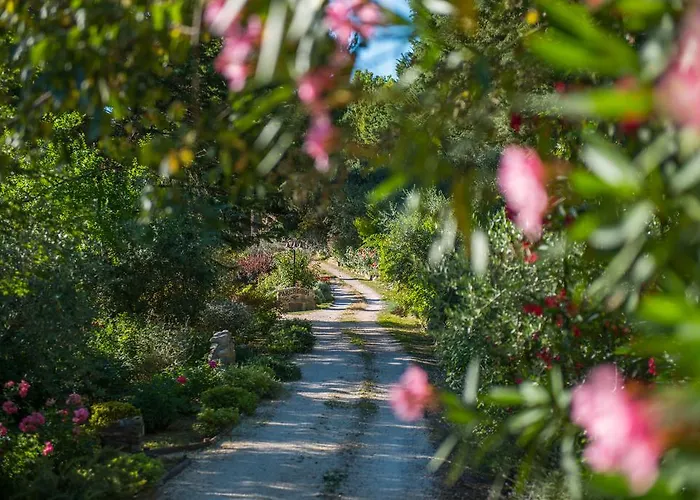 안티카 폰테 아시시