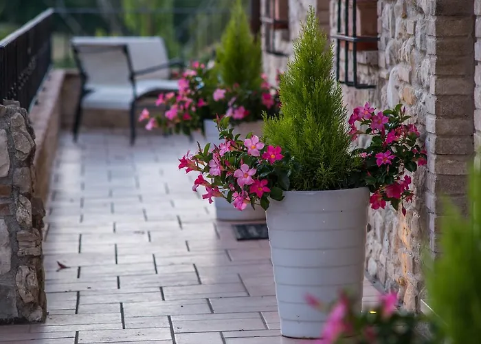 안티카 폰테 * 아시시