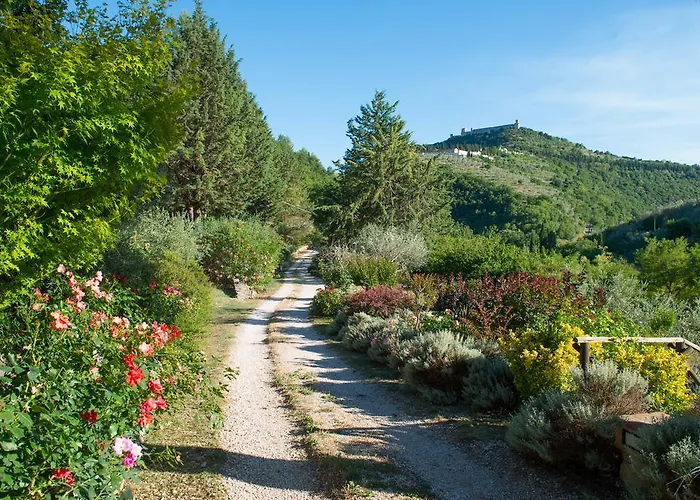 컨트리하우스 안티카 폰테