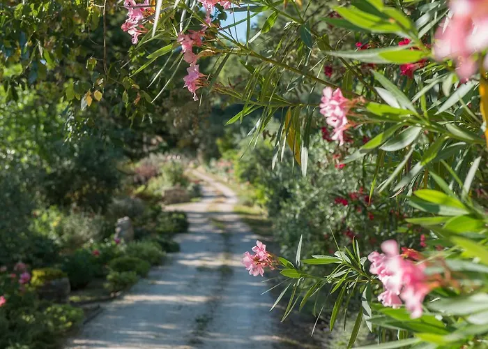 안티카 폰테 컨트리하우스